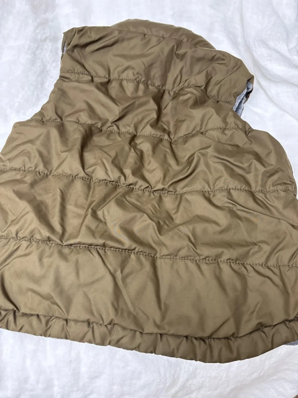GAP cooler warm green